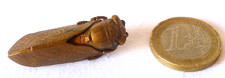 Ancienne broche cigale - broche, en