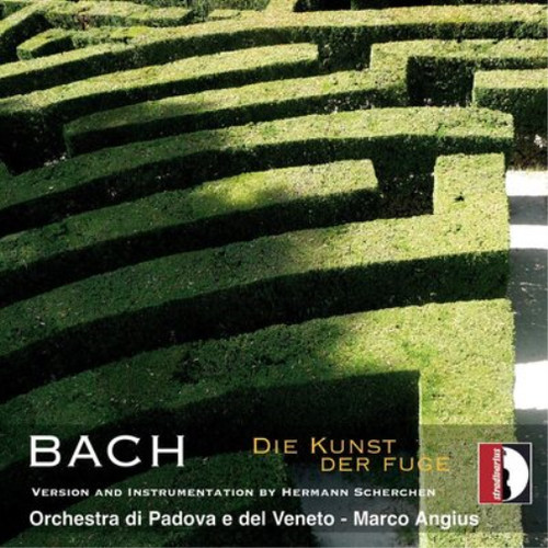 Johann sebastian bach - bach,