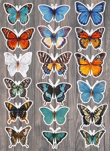 Butterflies die cut vinyl - die,