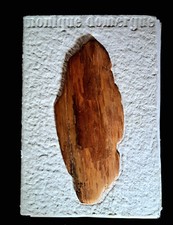 Trépier-Domergue Monique - Propos de vieilles femmes - jacques Brémond Editions