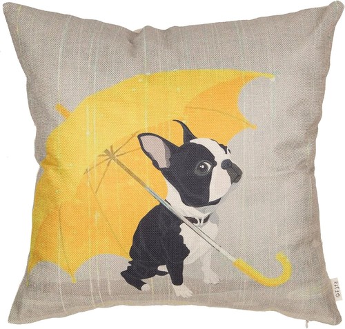 Boston terrier with yellow - terrier,