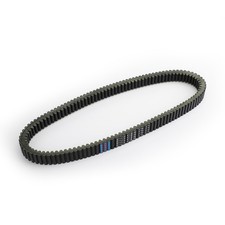 Courroie de commande pour Argo