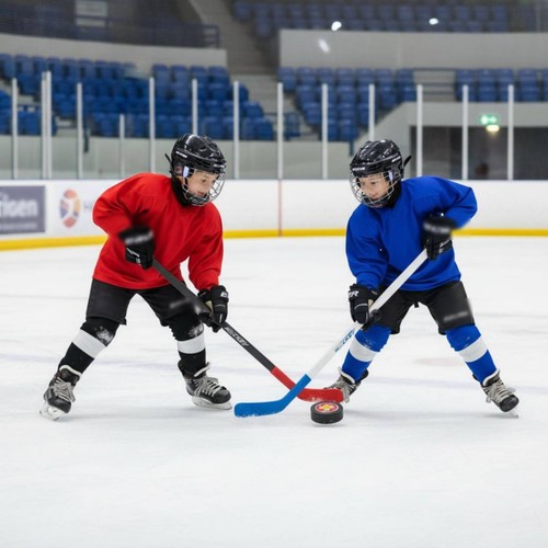 Crosse hockey plastique - crosse,