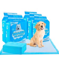 Alaise pour chien alese - pour, chien,