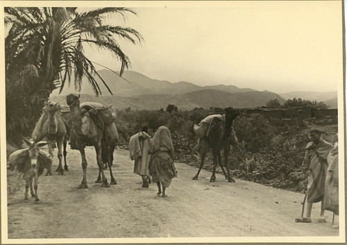Maroc une caravane de - caravane,