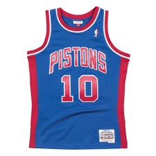 Swingman Mesh Jersey Detroit Pistons 1988-89 Dennis Rodman