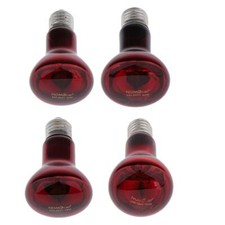 Ampoule chauffante infrarouge pour reptiles, lampe pour Terrarium à visser E27