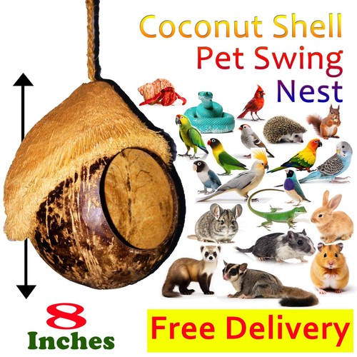 Large natural bird nest - natural,