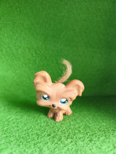 Lps littlest pet shop - lps,