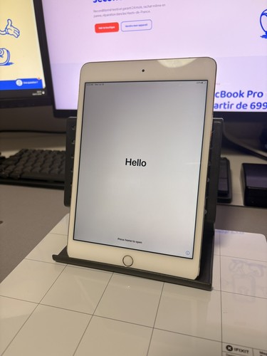 Ipad mini wifi or - ipad,