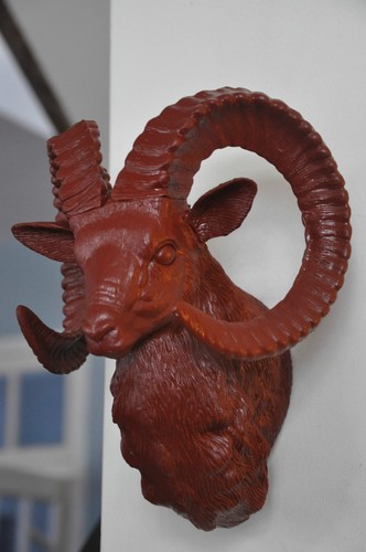 Tête bouquetin cerf - tête, de