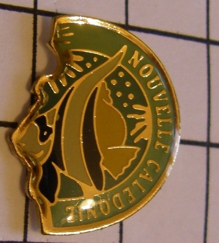 Pins poisson ange - pins,