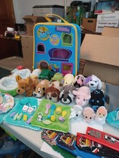 Zhu pet lot - zhu,