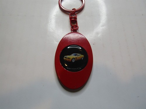 2007 porte clés emblème - 2007,