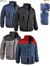 Veste Matelassée Homme