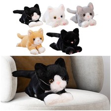 Chat en peluche Kitty Animal en peluche câlin à collectionner câlin dessin