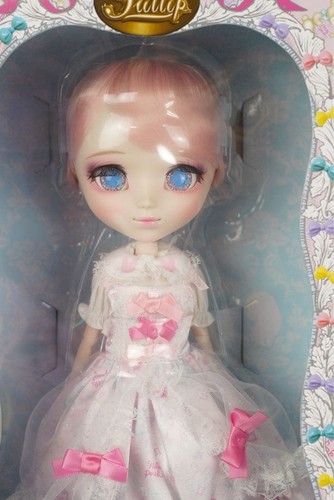 Pullip pipyfilia doll unopened - doll,