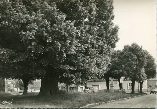 Sainte colombe des bois - sainte,