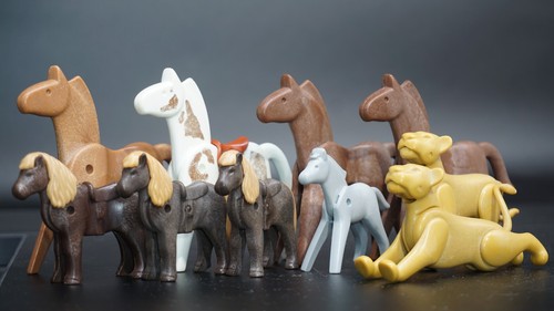 Playmobil chevaux poney lion