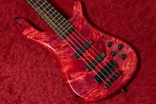 Warwick Custom Shop Streamer