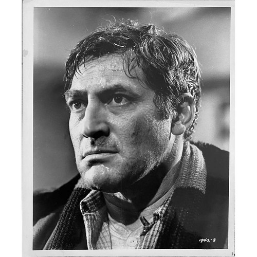 Andy photo presse - andy,
