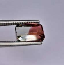 Tourmalin bicolore Melon D’eau 4.05ct  (IF) red/blue  tourmalin FMG Gemstones