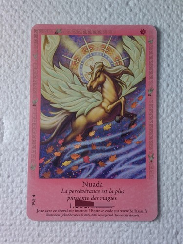 Carte cheval chevaux - carte, /