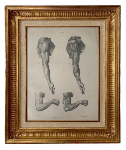 Gravure lithographie xix - lithographie, xix°
