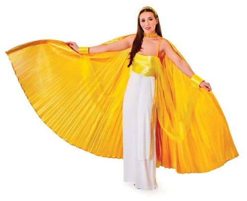Bristol novelty costume - -,