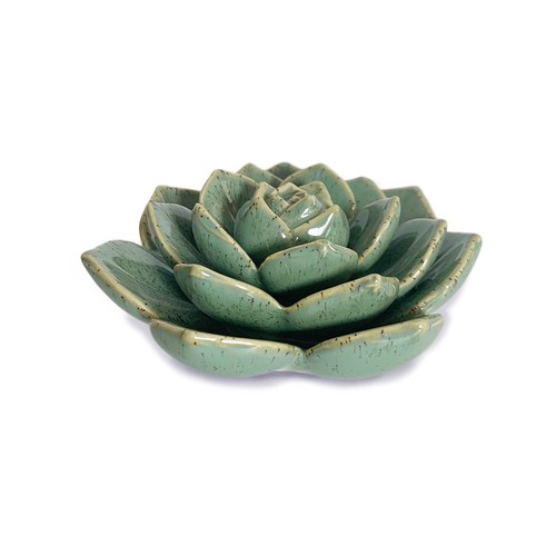 Ceramic succulent flowers - succulent,