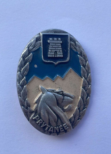 Ancien insigne militaire - insigne,
