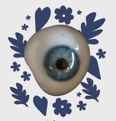 Prothèse oculaire verre - prothèse, en