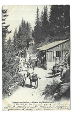 SUISSE  CHALET DU CAILLET