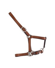 APOLLO Equitation- Licol en cuir de buffle avec muserolle et têtière réglables