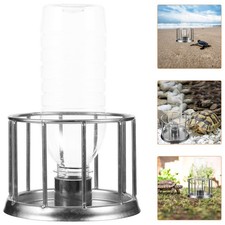  Abreuvoir Tortue Terrestre