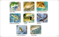 Tapis De Souris Avec Image De Pêche Idée Cadeau Pour Pêcheurs