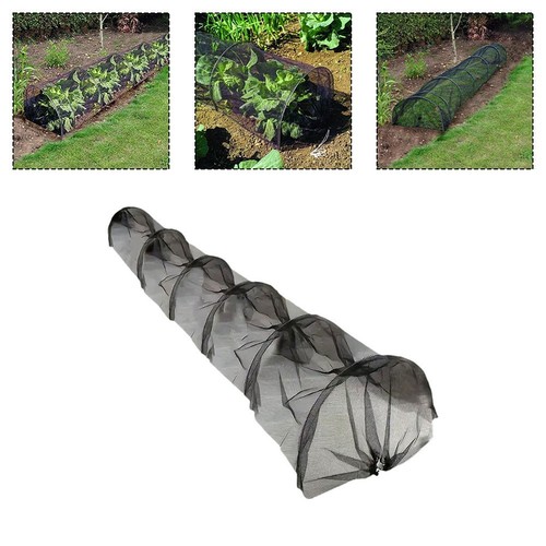 Tunnel plantation agricole - plantation,