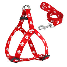 Ensemble Harnais Et Laisse