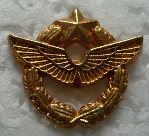 Pin militaire brevet de - pin's,