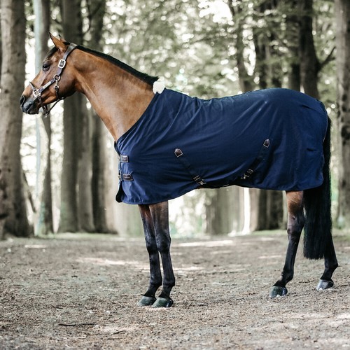 Kentucky horsewear cotton - kentucky,