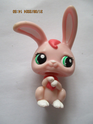 Petshop lapin garenne - de,