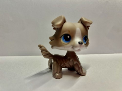 Lps little petshop rare - little,