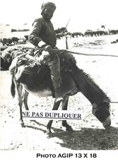         PHOTO DE PRESSE ORIGINALE AGIP D'UN NOMADE KURDE 