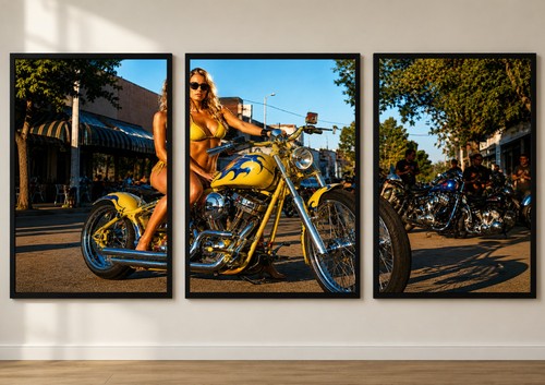 Photo triptyque moto custom - photo,