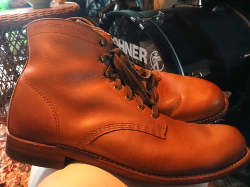 Wolverine 1000 mile - wolverine,
