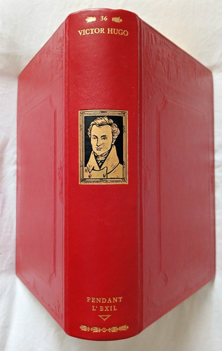 Pendant exil par victor hugo - l'exil,