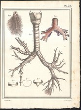 1825 Gravure originale