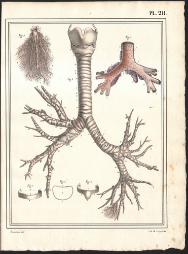 1825 gravure originale - gravure,