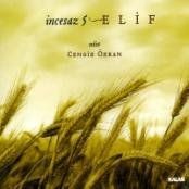 Ince Saz 5 Elif - Solist