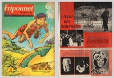 FRIPOUNET 1962 N° 36 du  06